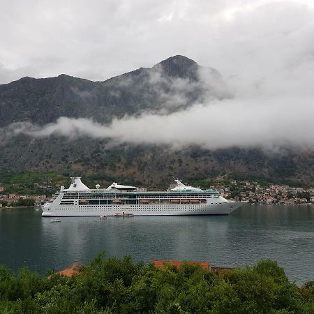 Villa "M Family" Kotor Bagian luar foto