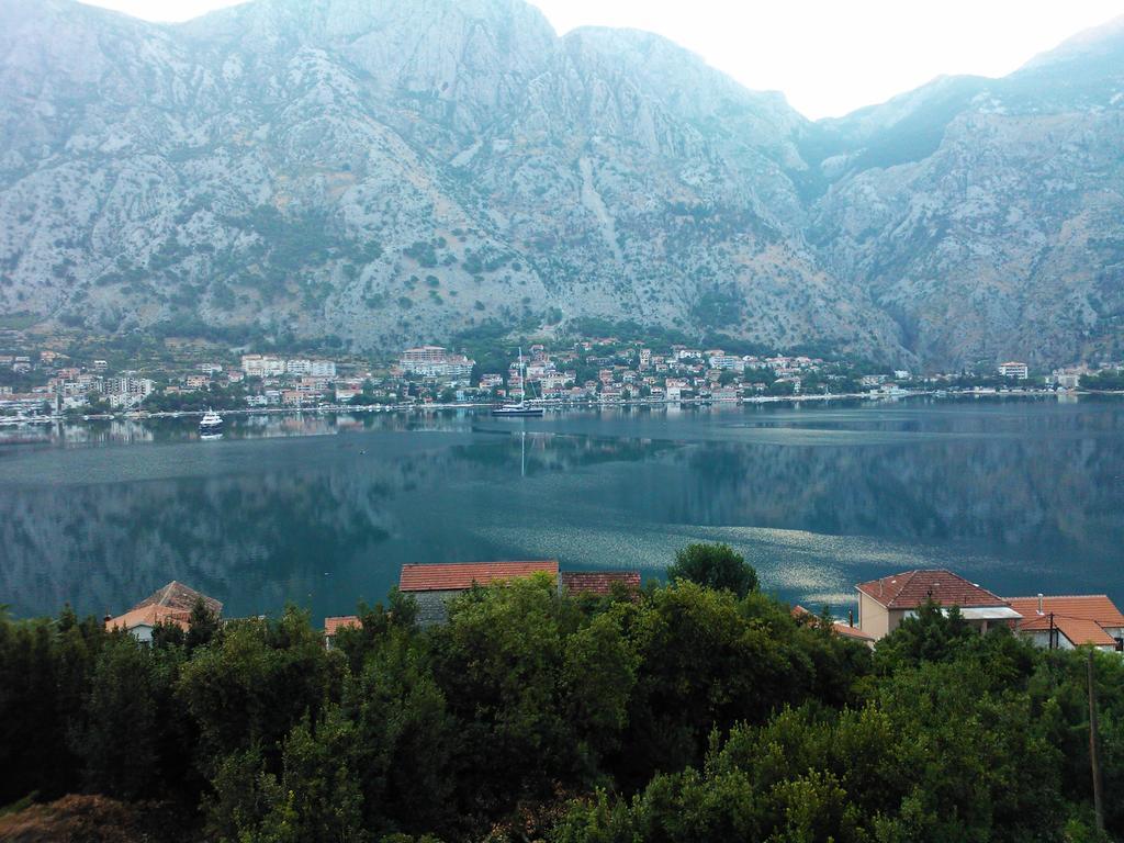 Villa "M Family" Kotor Bagian luar foto